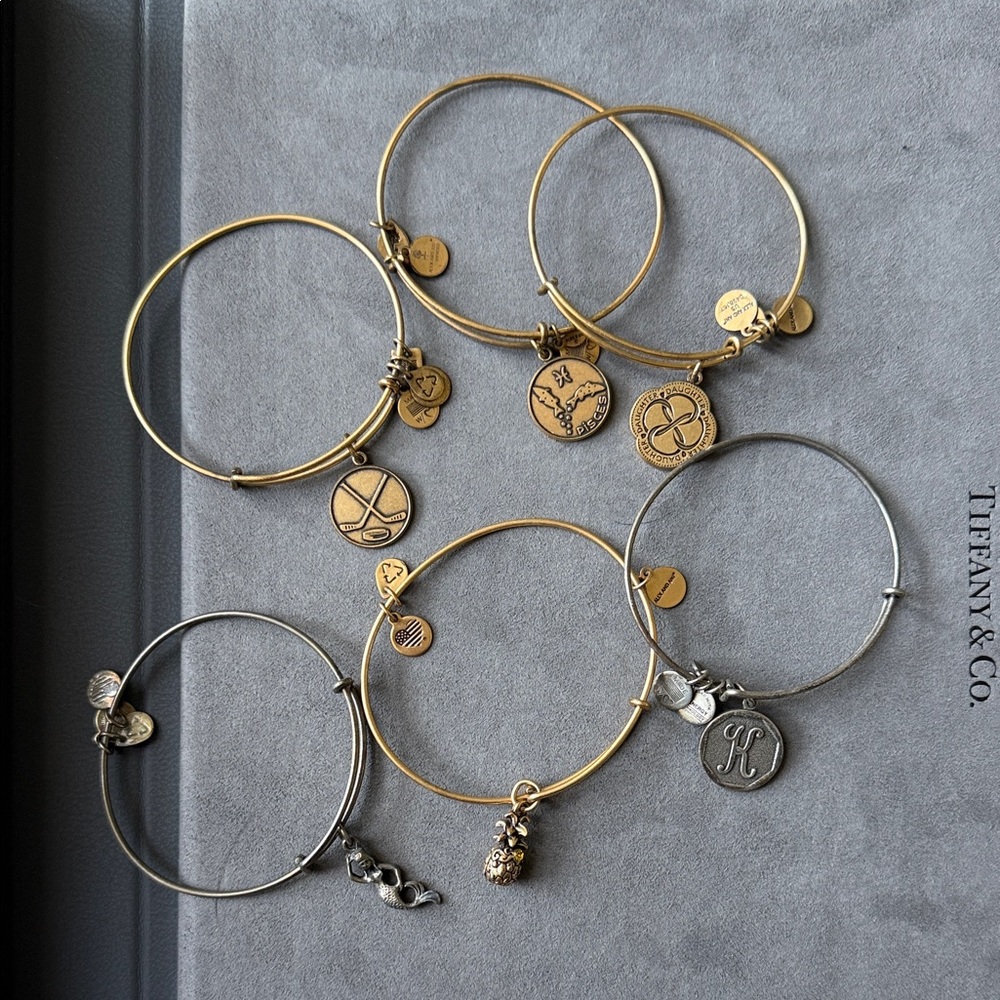 Bundle of Alex and Ani Charm Bracelets Gift Set Layering Stackable